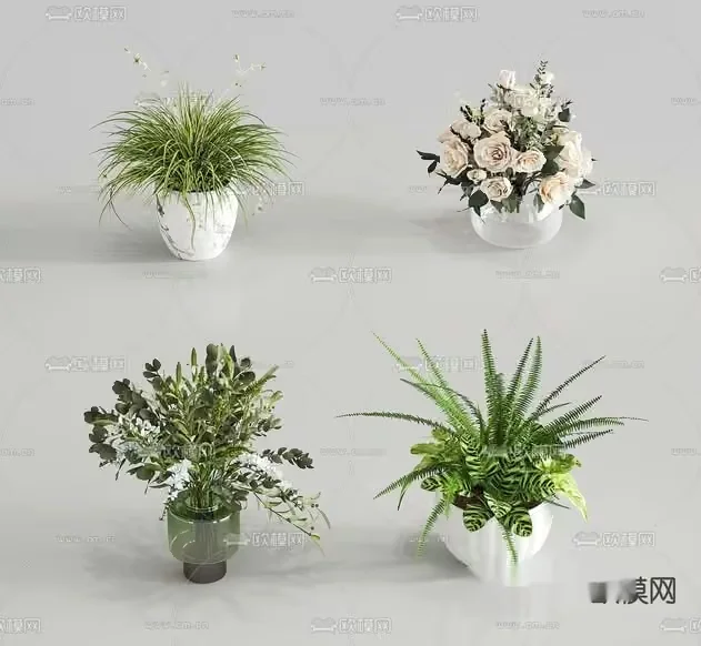 A Collection Of Potted Plants 3D Model – 22155 – VRAY Render