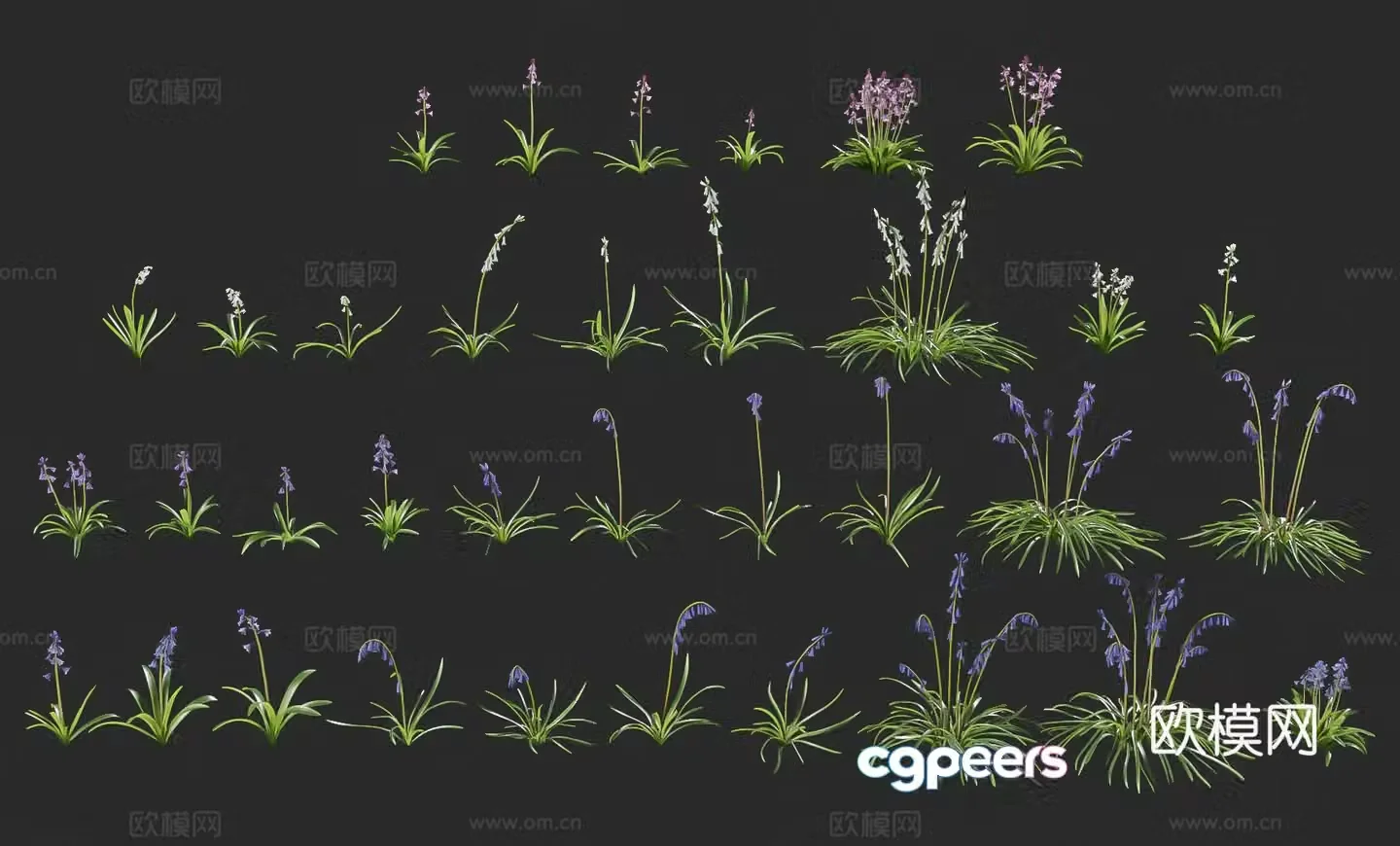 Modern hyacinth flowers blue bell flowers purple flowers outdoor hyacinth flowers plants and flowers garden green 3d model