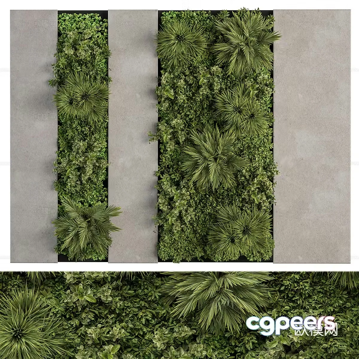 Modern green plant wall 3d model
