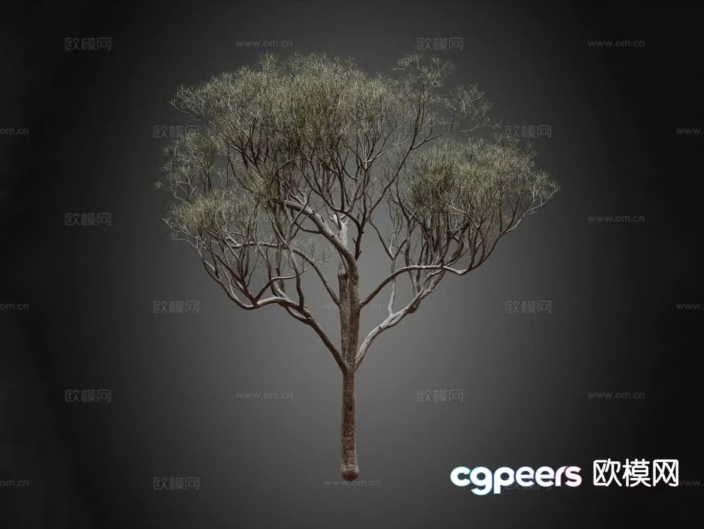 Trees Trees Street Tree Landscape Trees 3D Model
