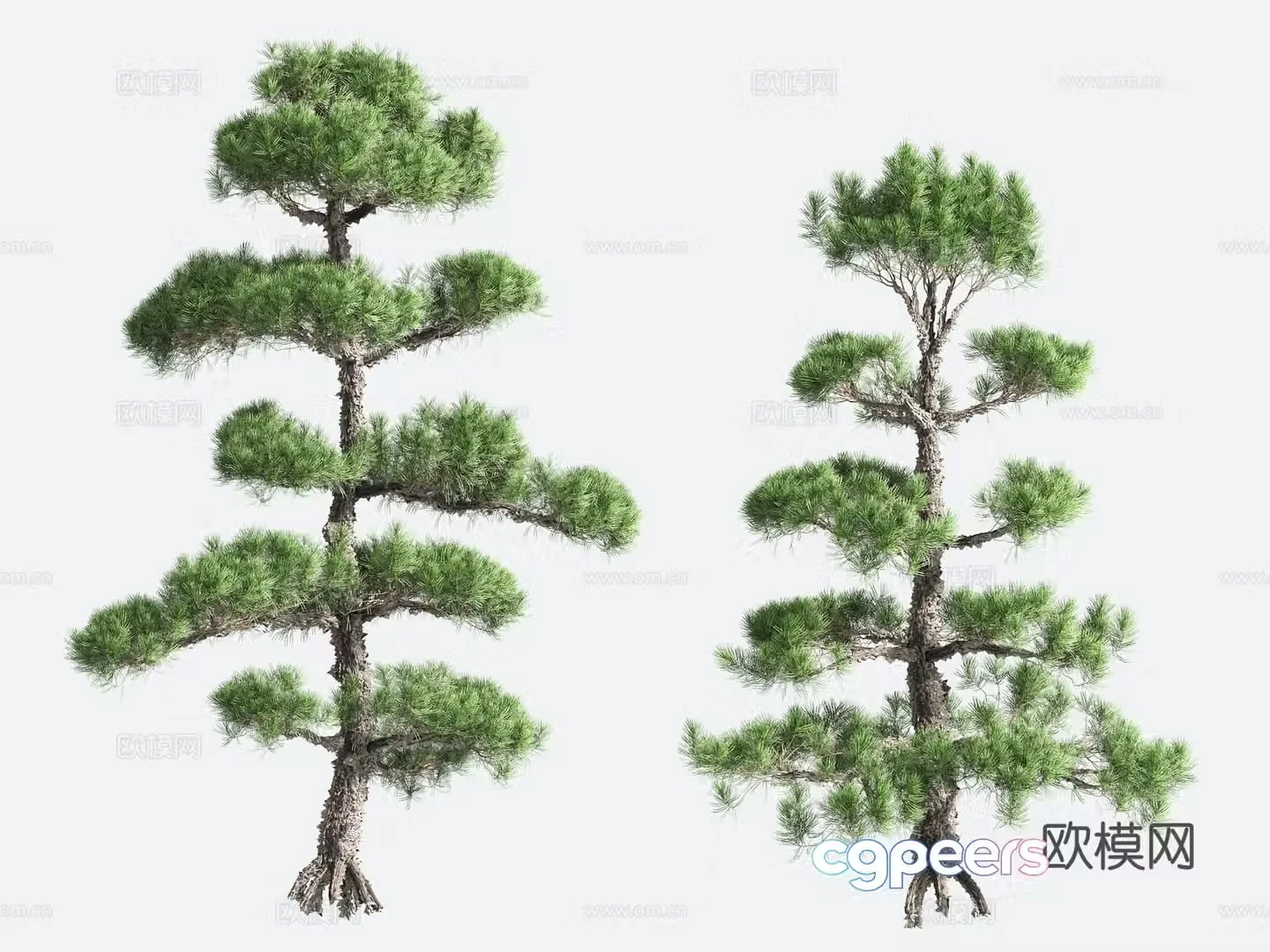 Ornamental Plant Modeling Tree Gardening 3D Model
