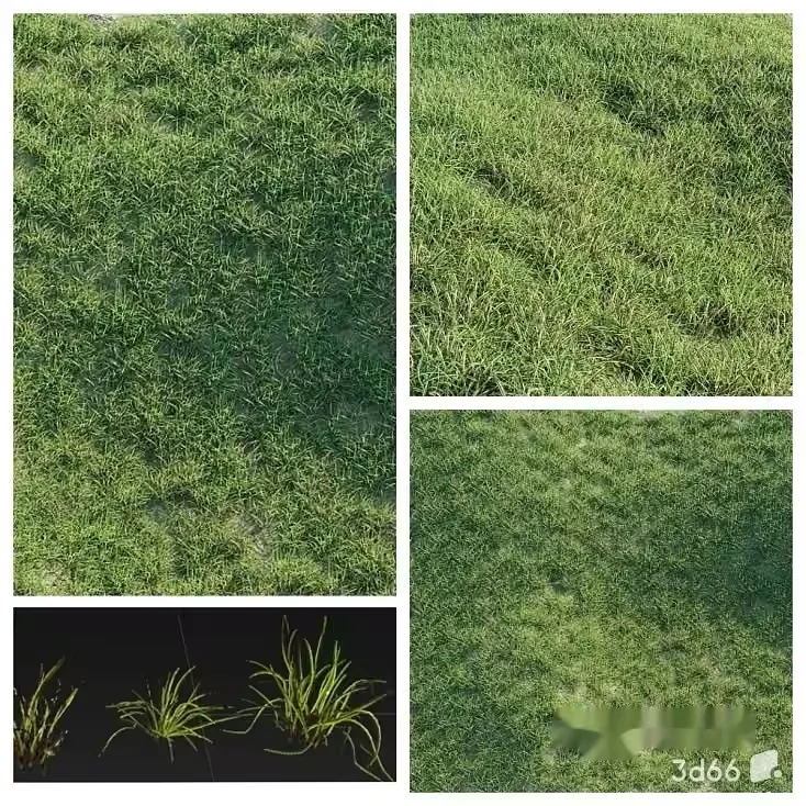 The Main Subject Is A Grassy Field With One Key Characteristic Being Its 3D Model – 22734 – VRAY Render