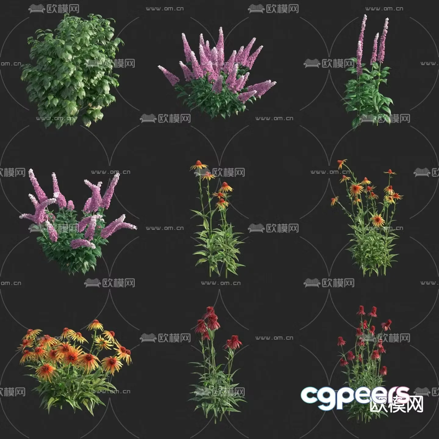 Flowers shrubs weeds mixed flowers 3d model