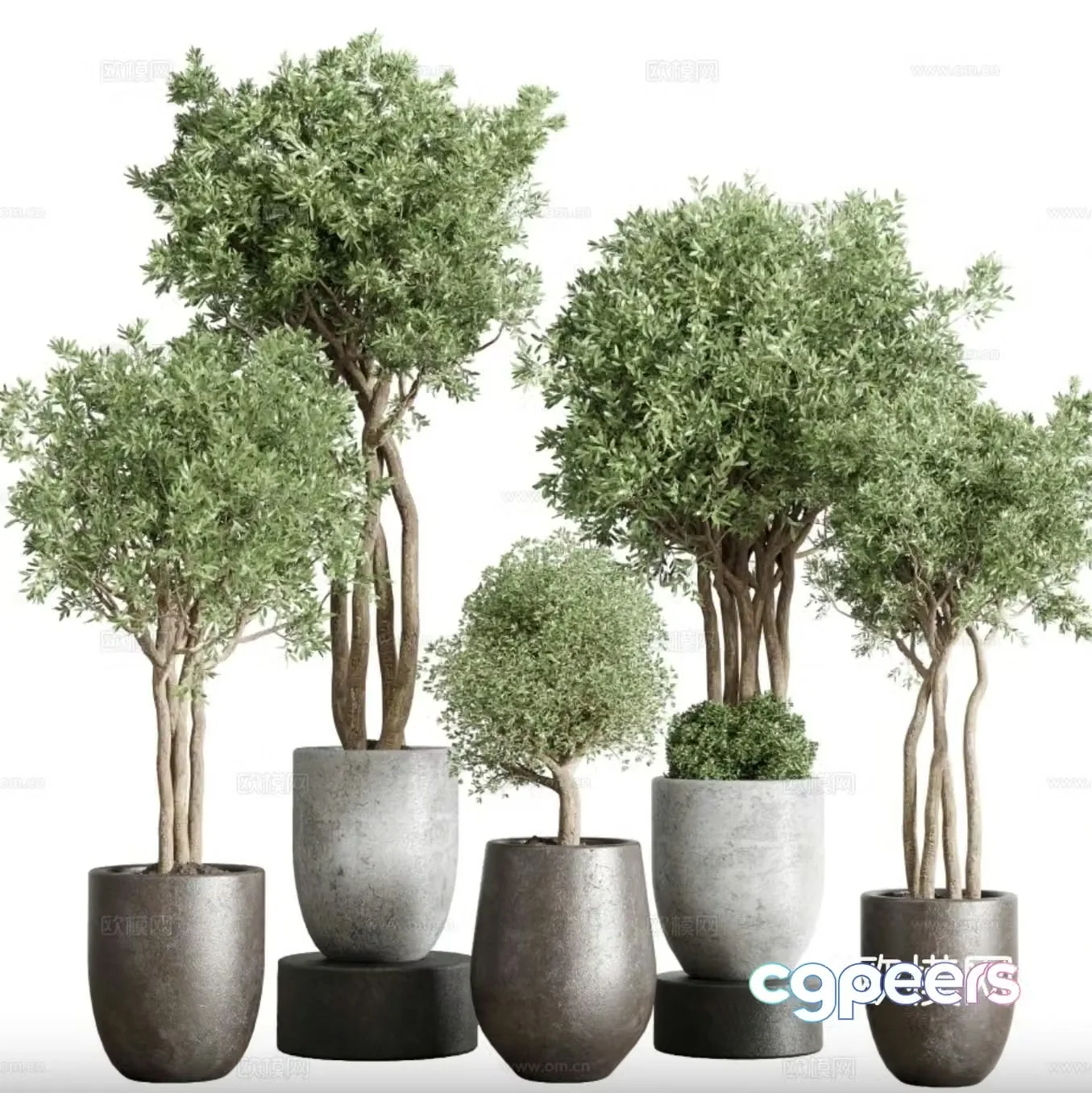 Green plant potted 3D model
