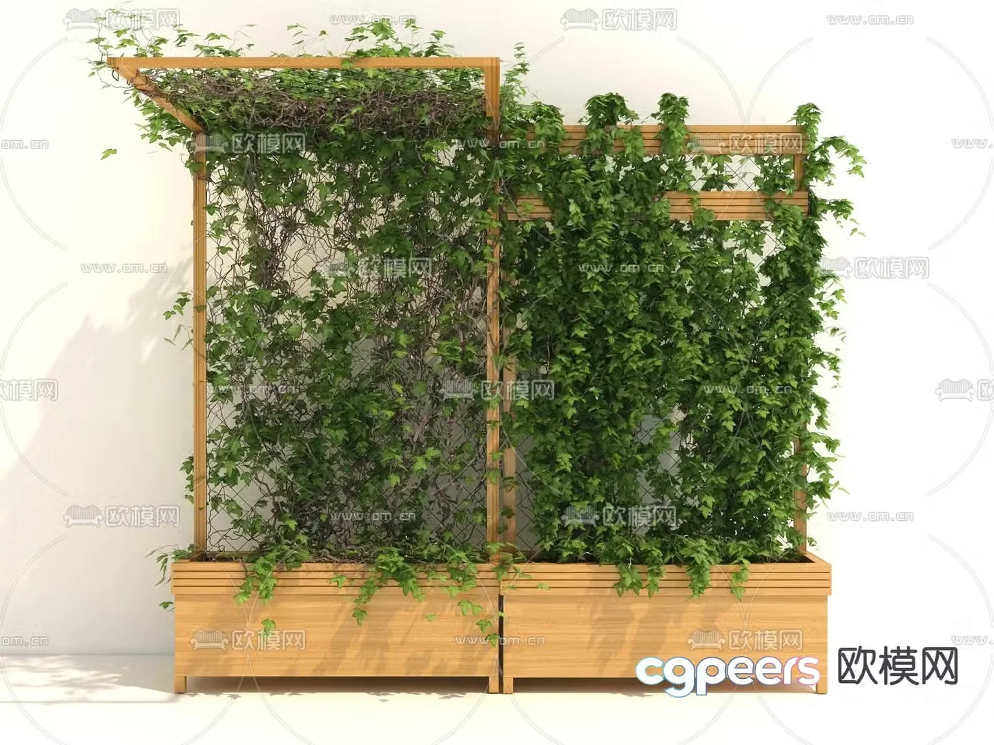 Vine flower box potted plant 3d model