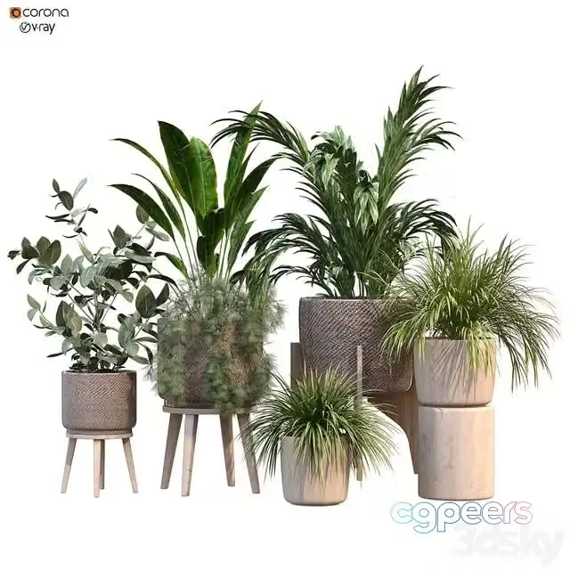 3ds Max Free – plant in vase collection set 214
