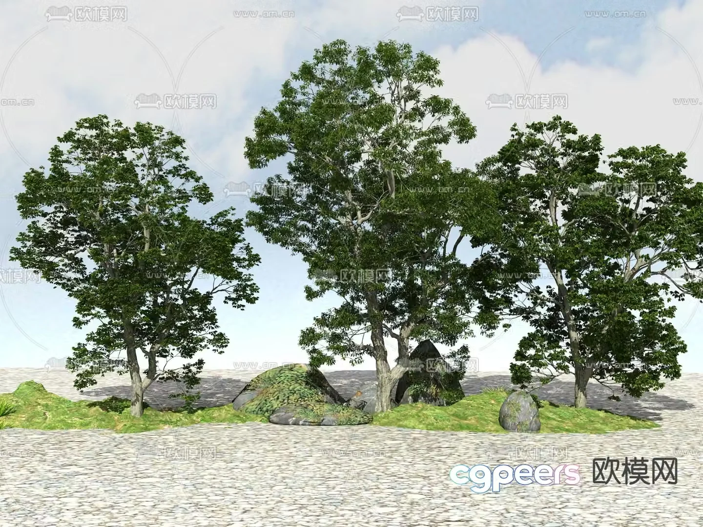 Landscape tree Big tree Plant 3d model