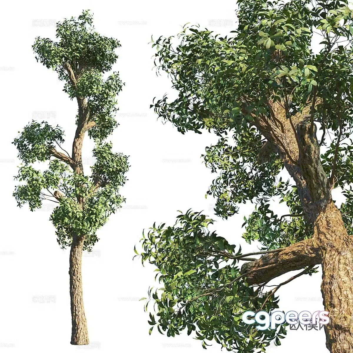 Big tree landscape tree 3d model