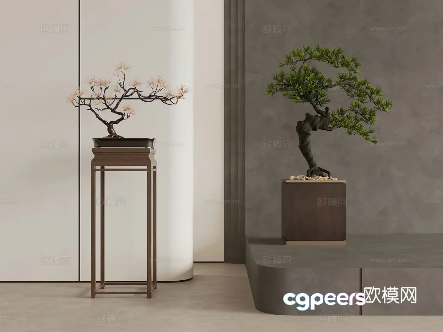 New Chinese style potted plants bonsai welcoming pine 3d model
