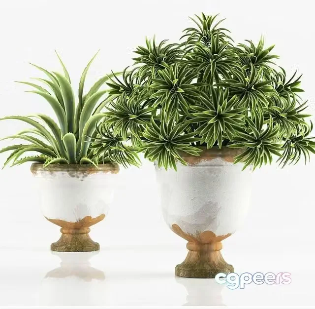 3ds Max Free – PLANTS 6