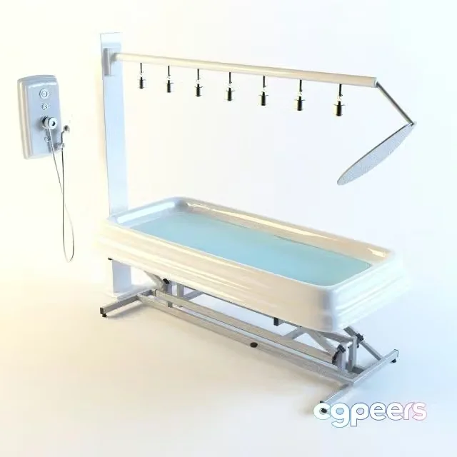 3ds Max Free – Vichy Shower