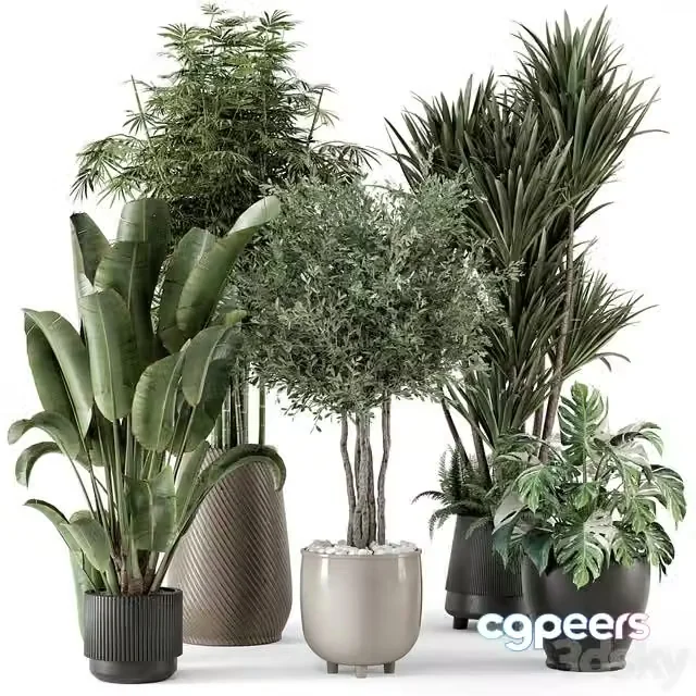 3ds Max Free – Indoor Plants in Ferm Living Bau Pot Large – Set 1325
