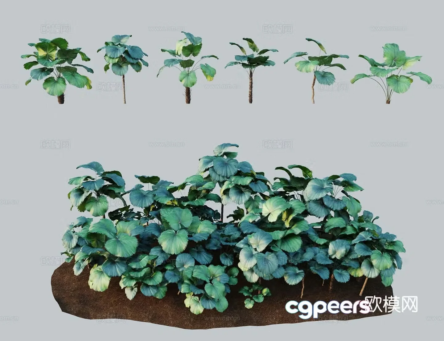 Modern tree shrub Shield shaft spike flower shaft 3d model