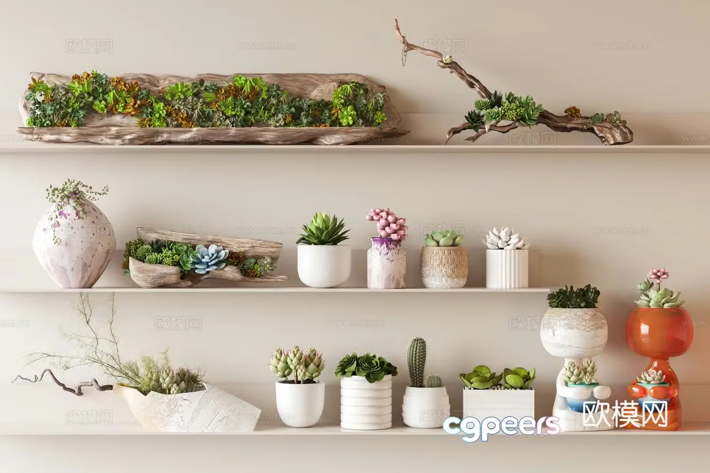 Succulent dead branches old wood plants desktop small potted cactus 3d model