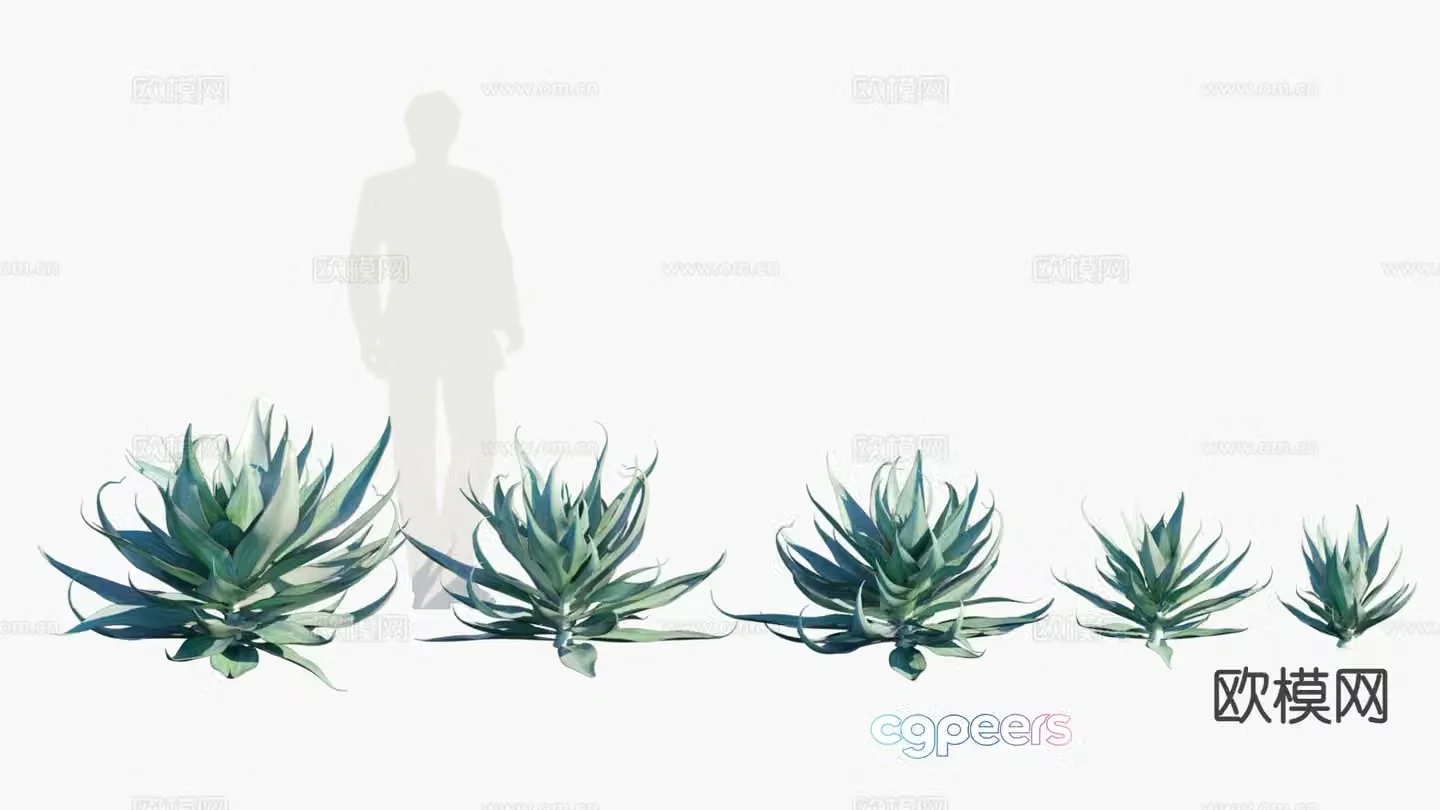 Plants shrubs hedge tropical plant shrub 3d model