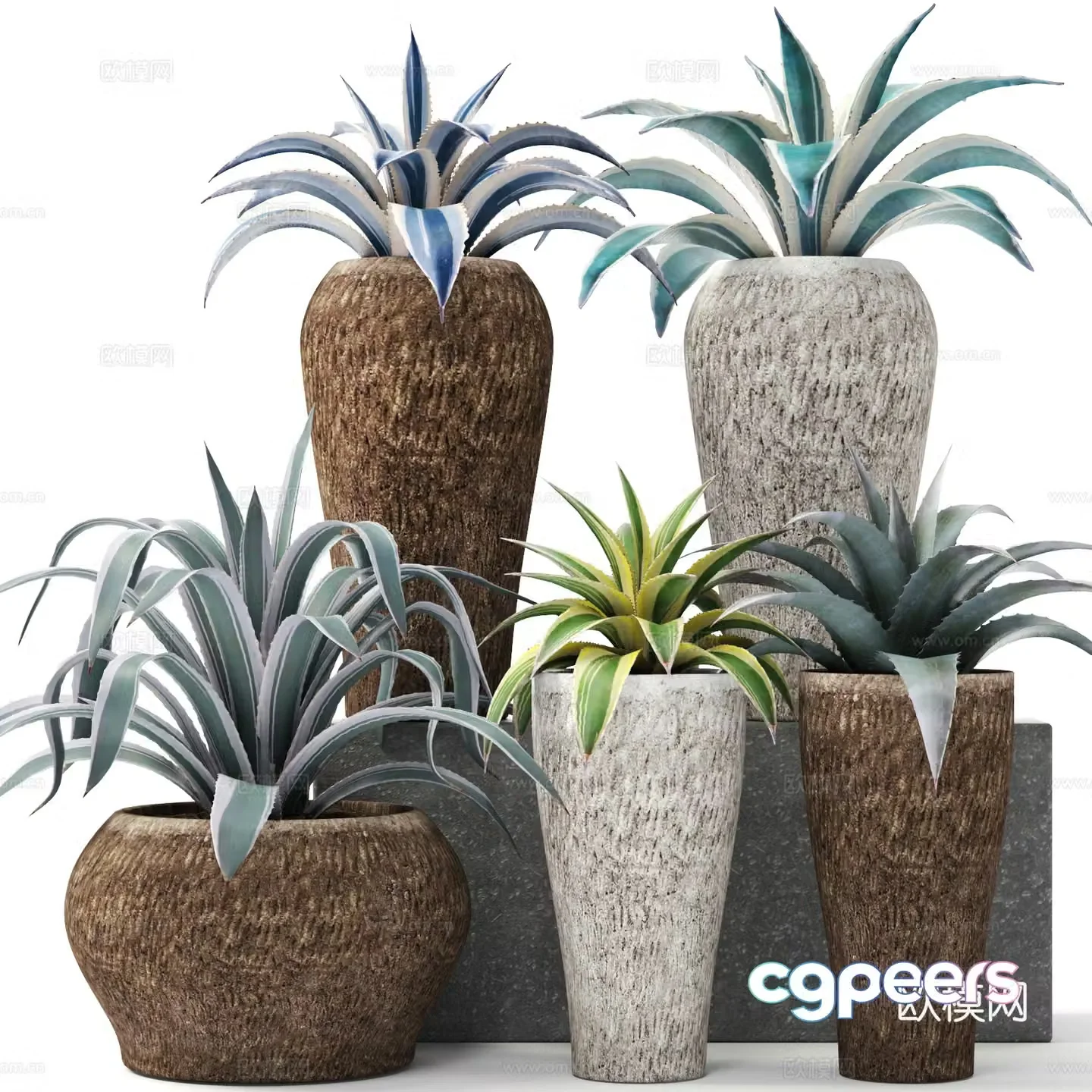 Agave potted plant 3d model