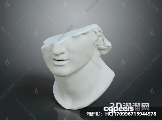 A 3D Printed Bust Of A Person’S Head 3D Model – 12054 – VRAY Render
