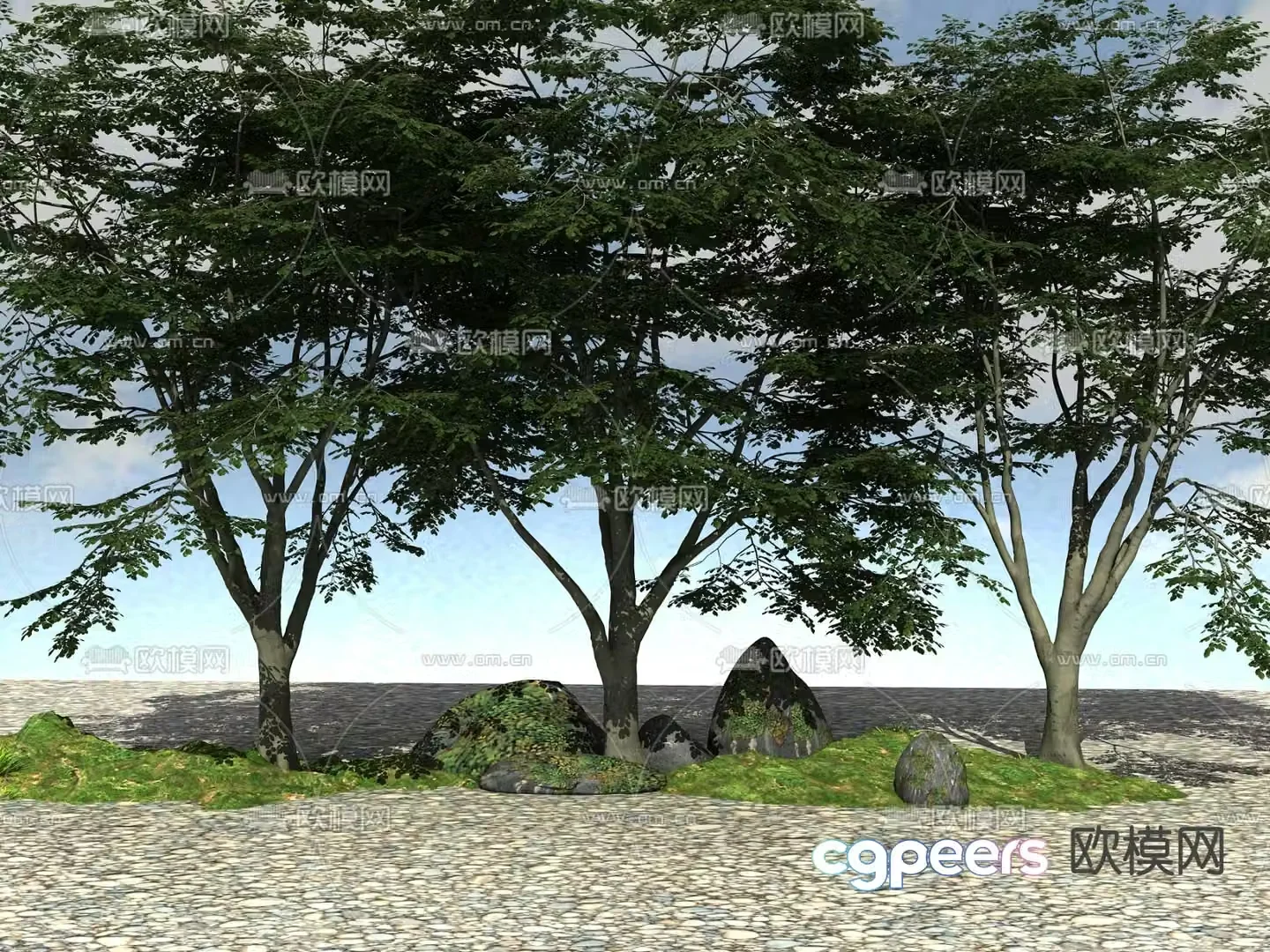 Landscape tree Big tree 3d model