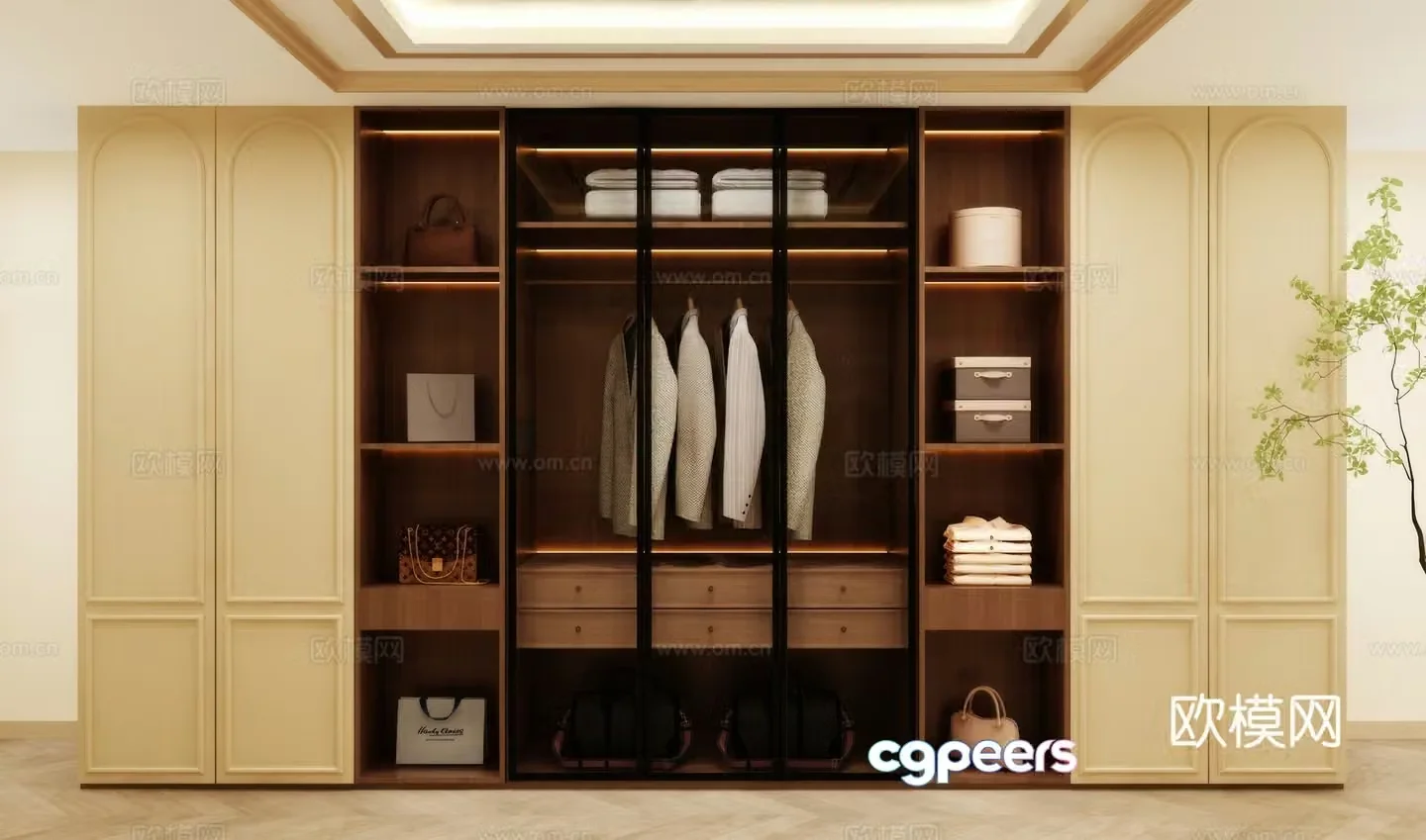 Wardrobe design Wardrobe renderings Wardrobe wardrobe design Wardrobe cabinet 3d model