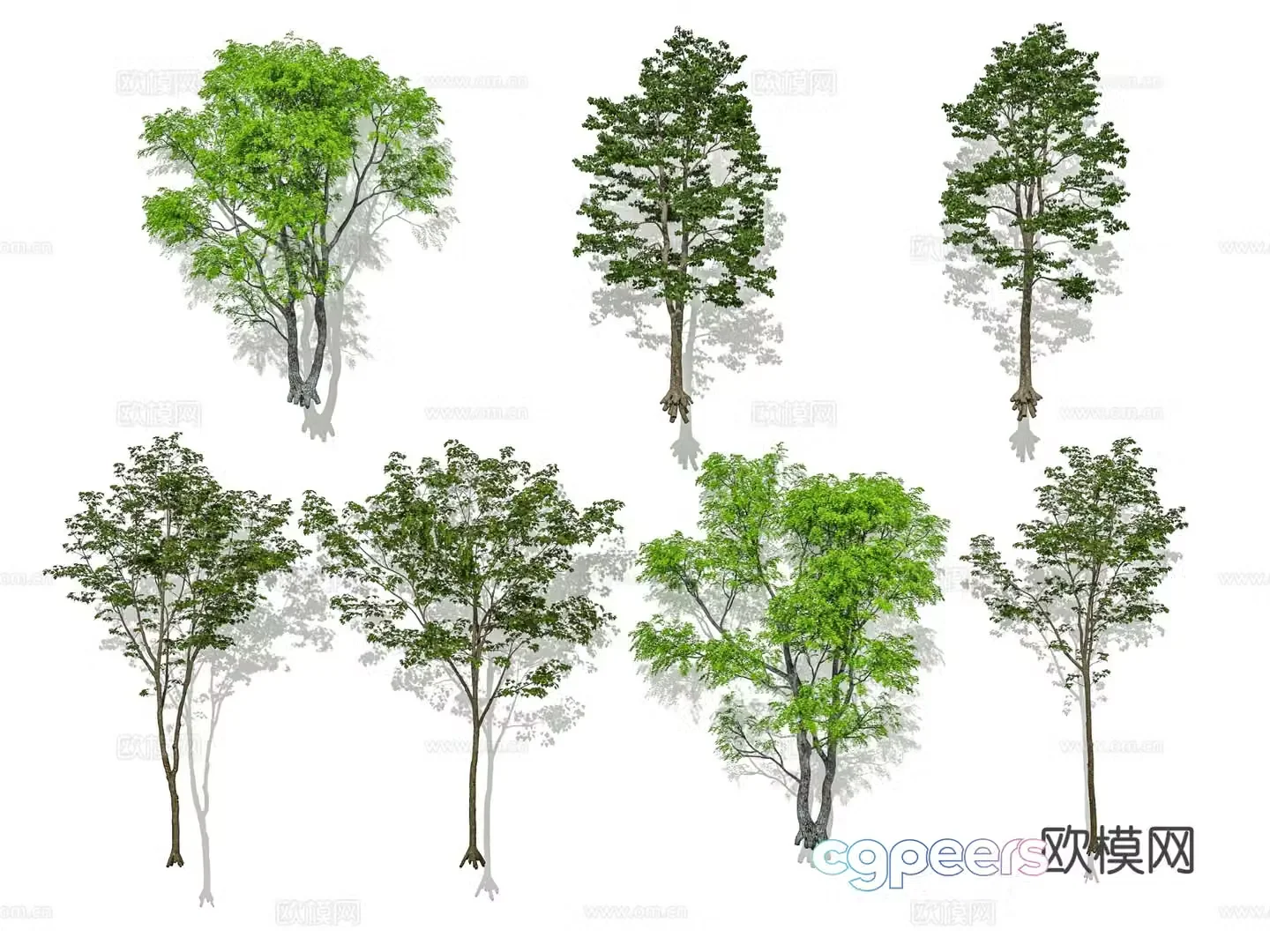 Modern tree Street tree Landscape tree Garden tree Solitary tree Cluster tree 3D model