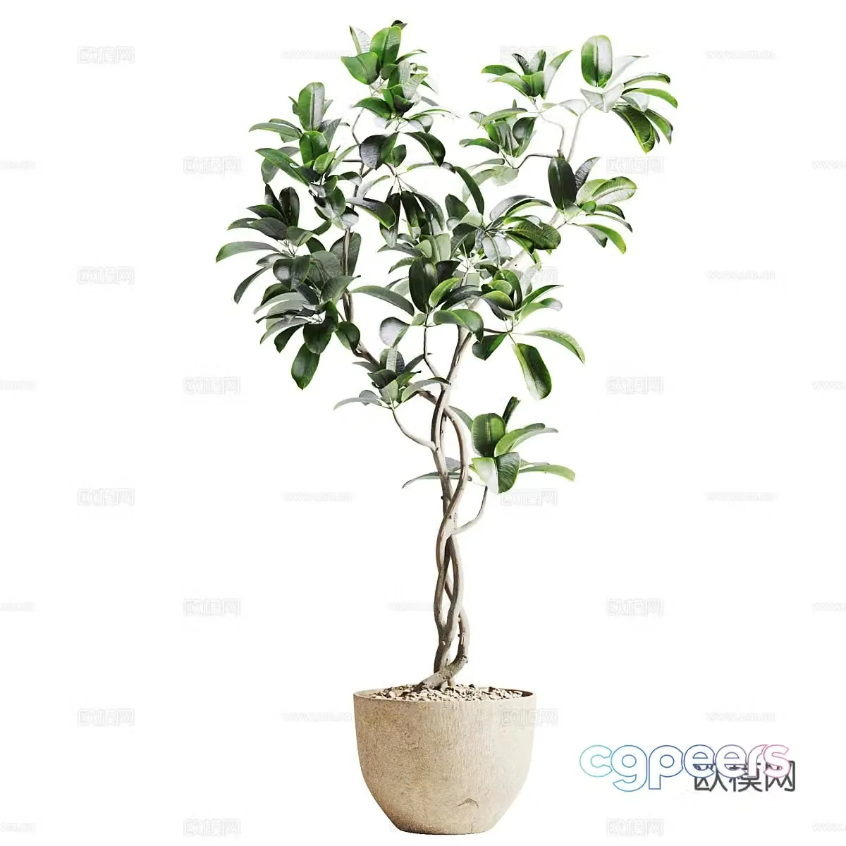 New Chinese style wabi sabi banyan tree potted 3D model