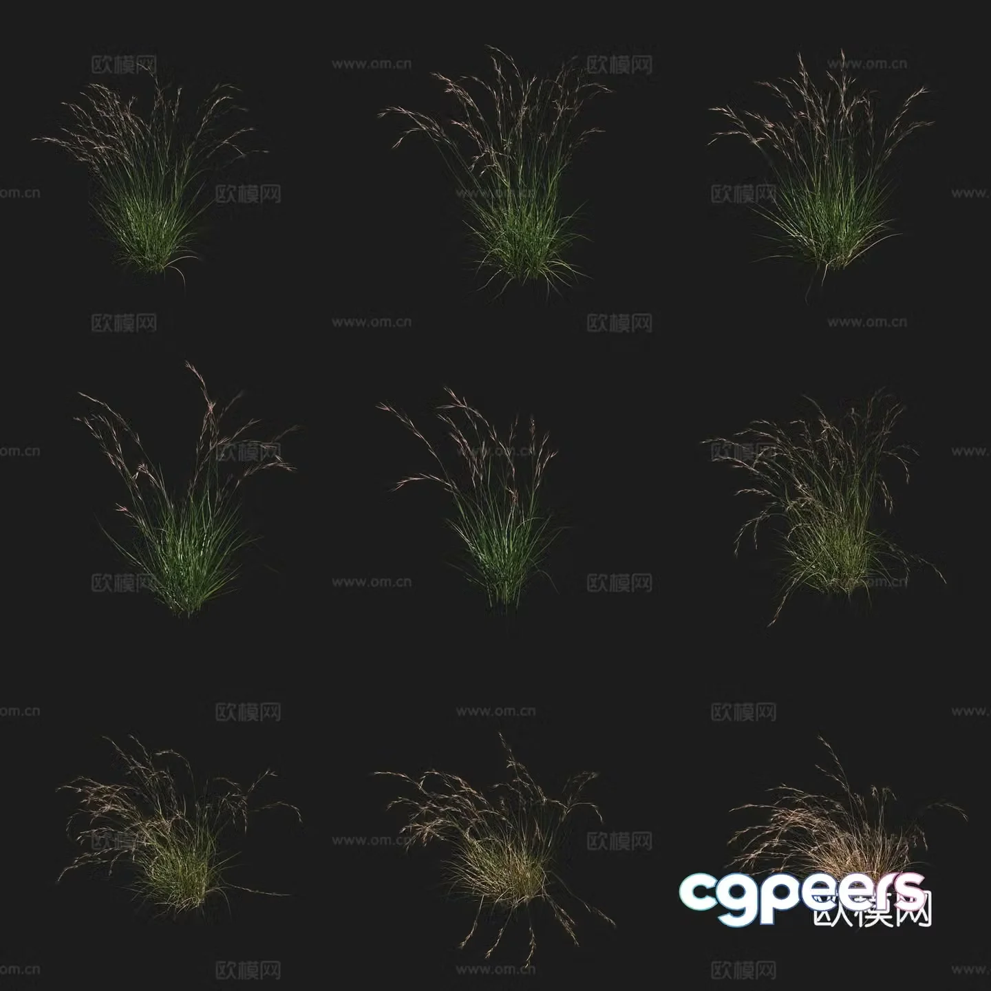 Purple three-mist grass purple red-mist shrub flowers and plants grass field plants 3D model