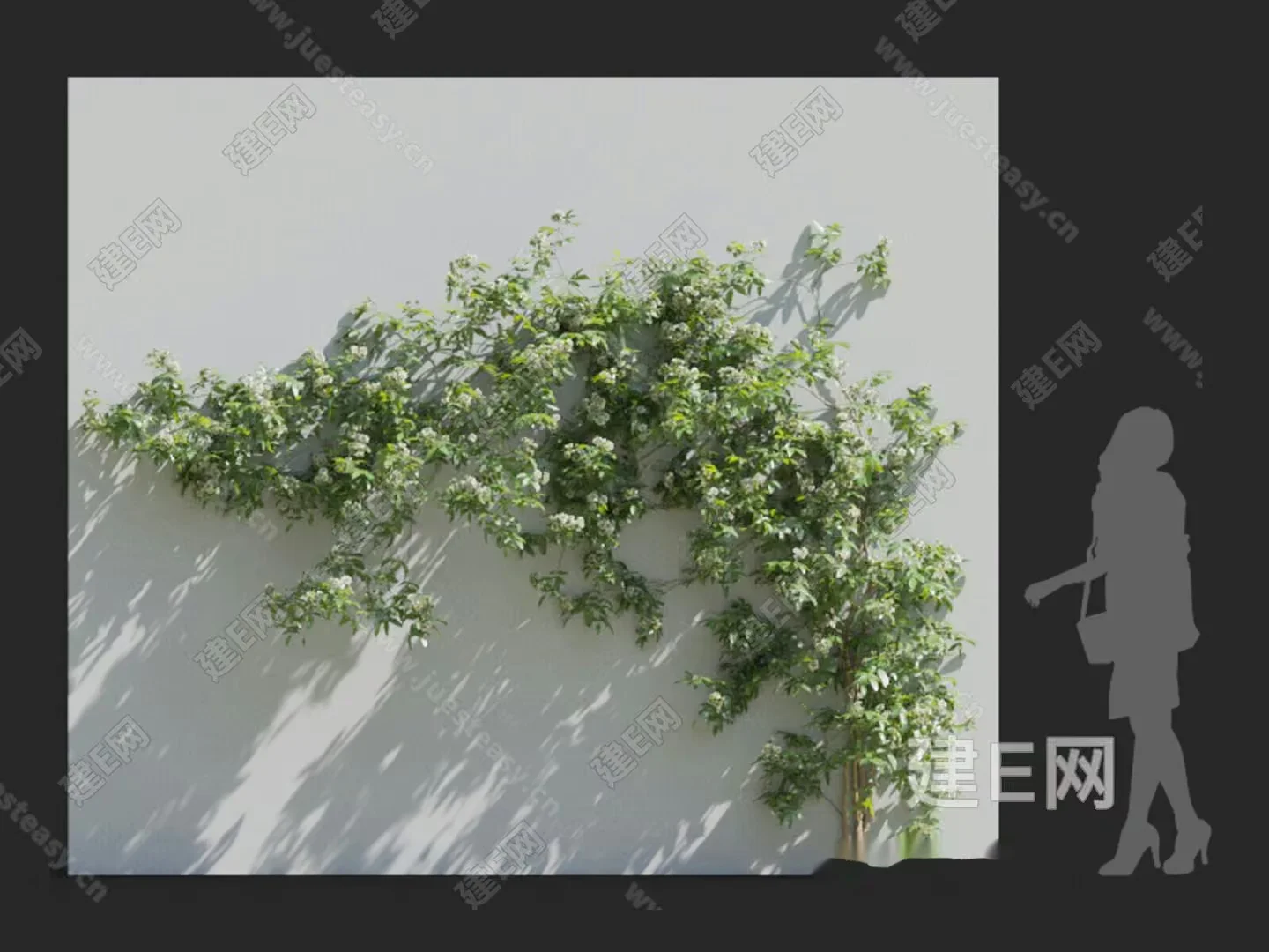 A Woman Walking 3D Model – 12975 – VRAY Render