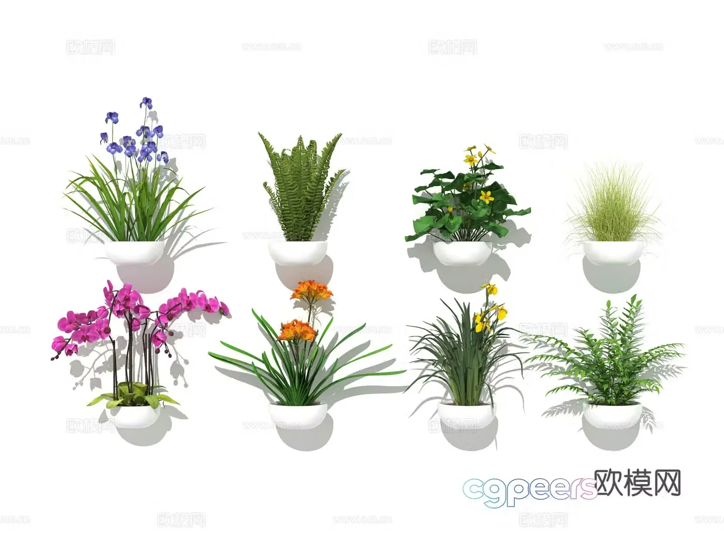 Small potted plants flower pot green plants Phalaenopsis Clivia kidney fern 3D model