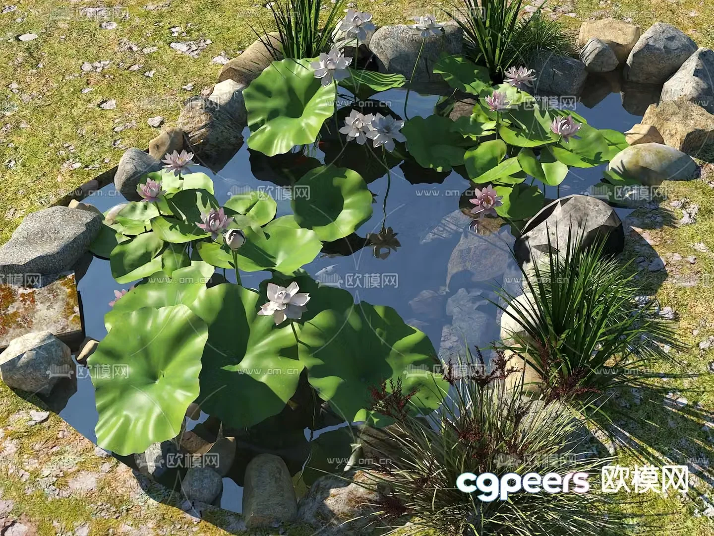 Ecological fish pond pond fish pond 3d model