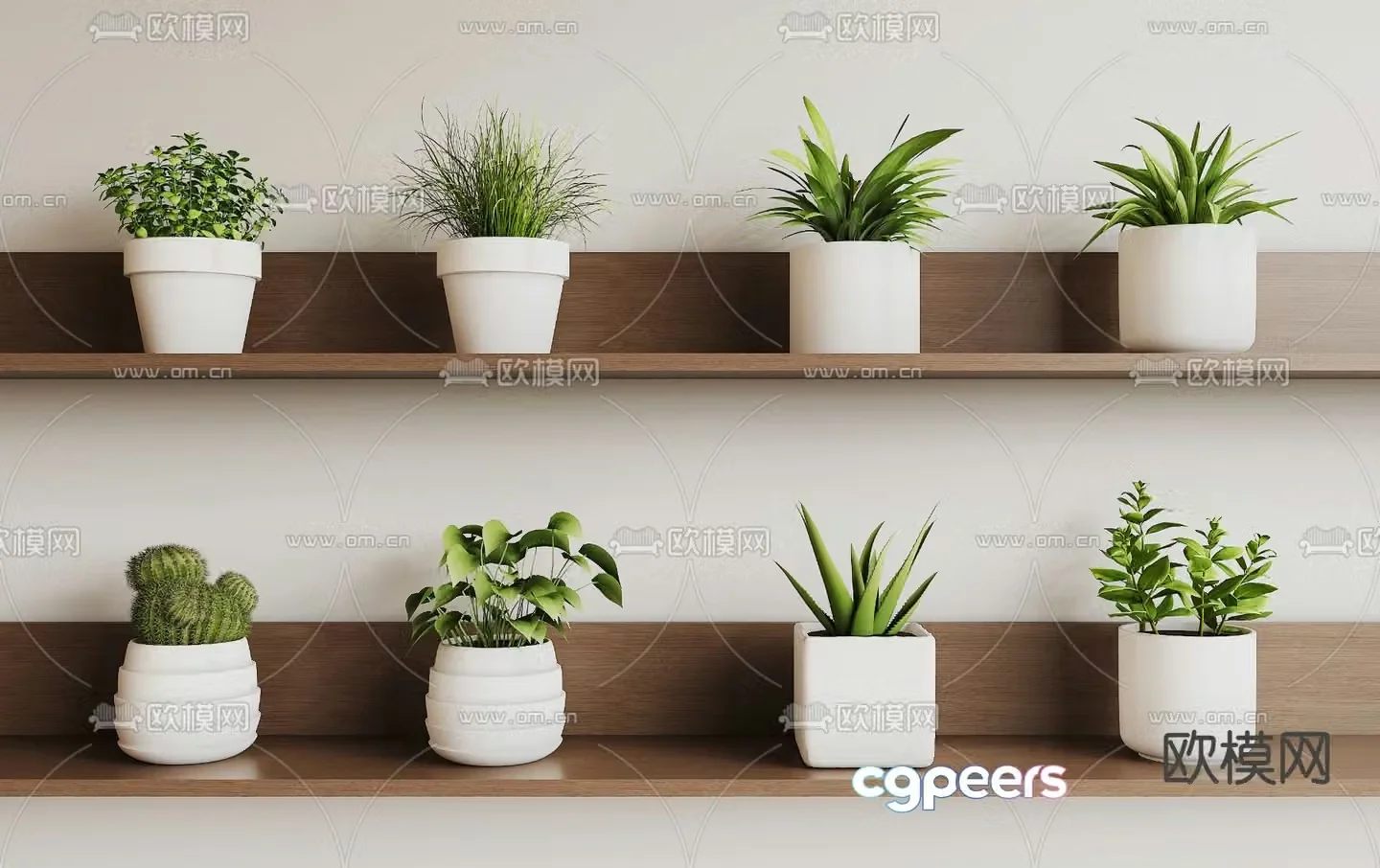 Succulent potted plant small potted plant 3D model