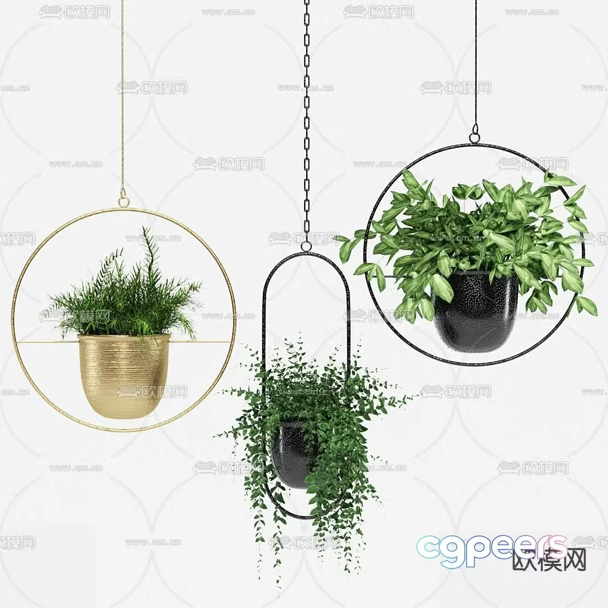 Modern hanging basket green plants hanging plants 3d model