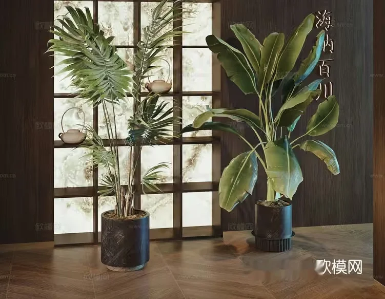 Modern Indoor Plants 3D Model – 14824 – CORONA Render