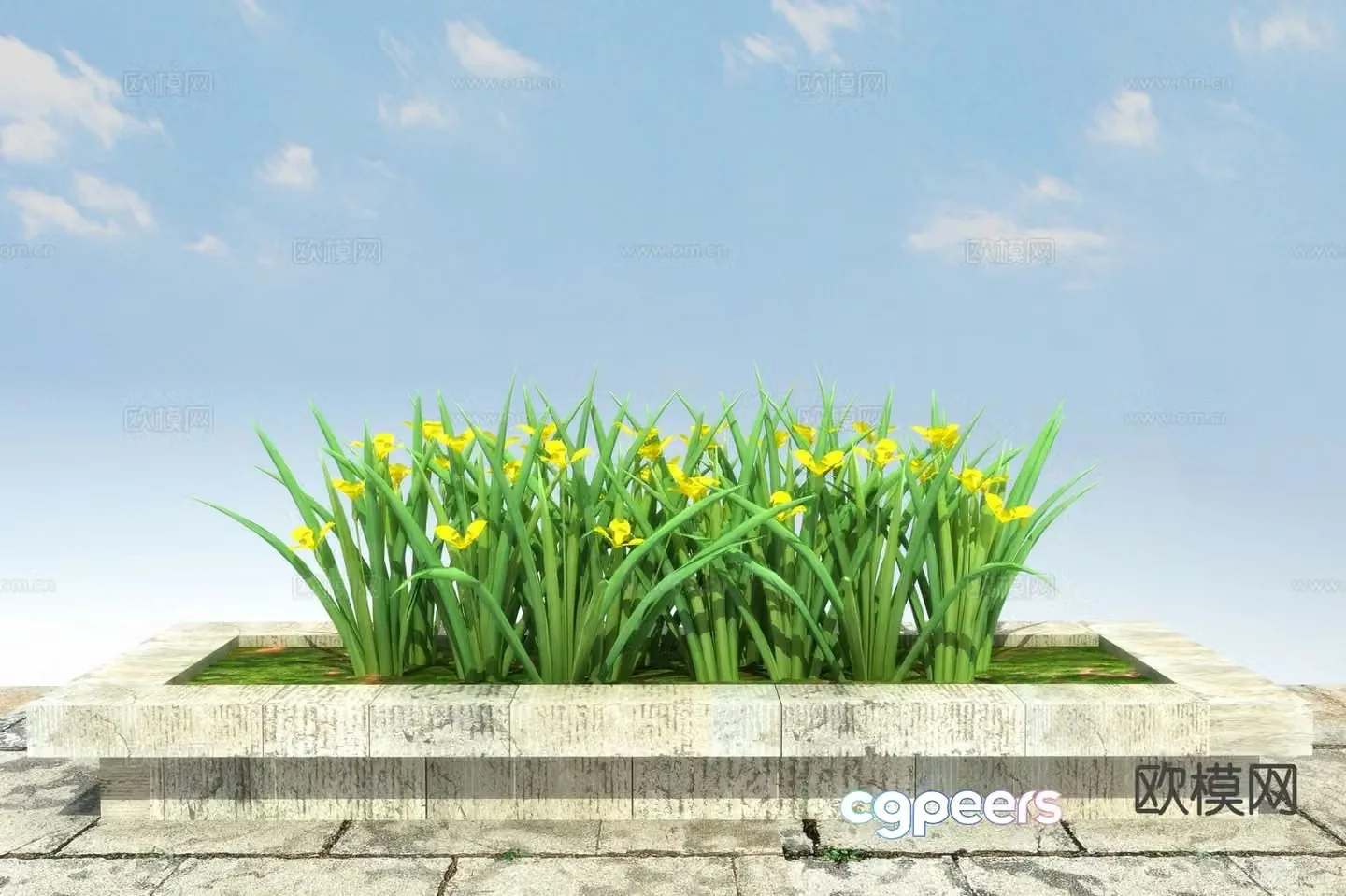 Flowers and plants Yellow flower iris 3d model