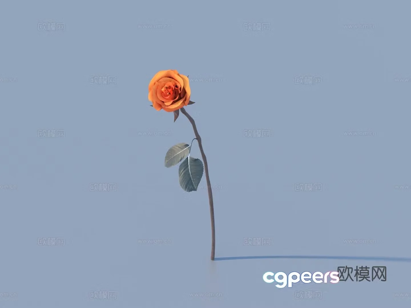 Flowers Wild Flowers Green Plants Flowers 3D Model