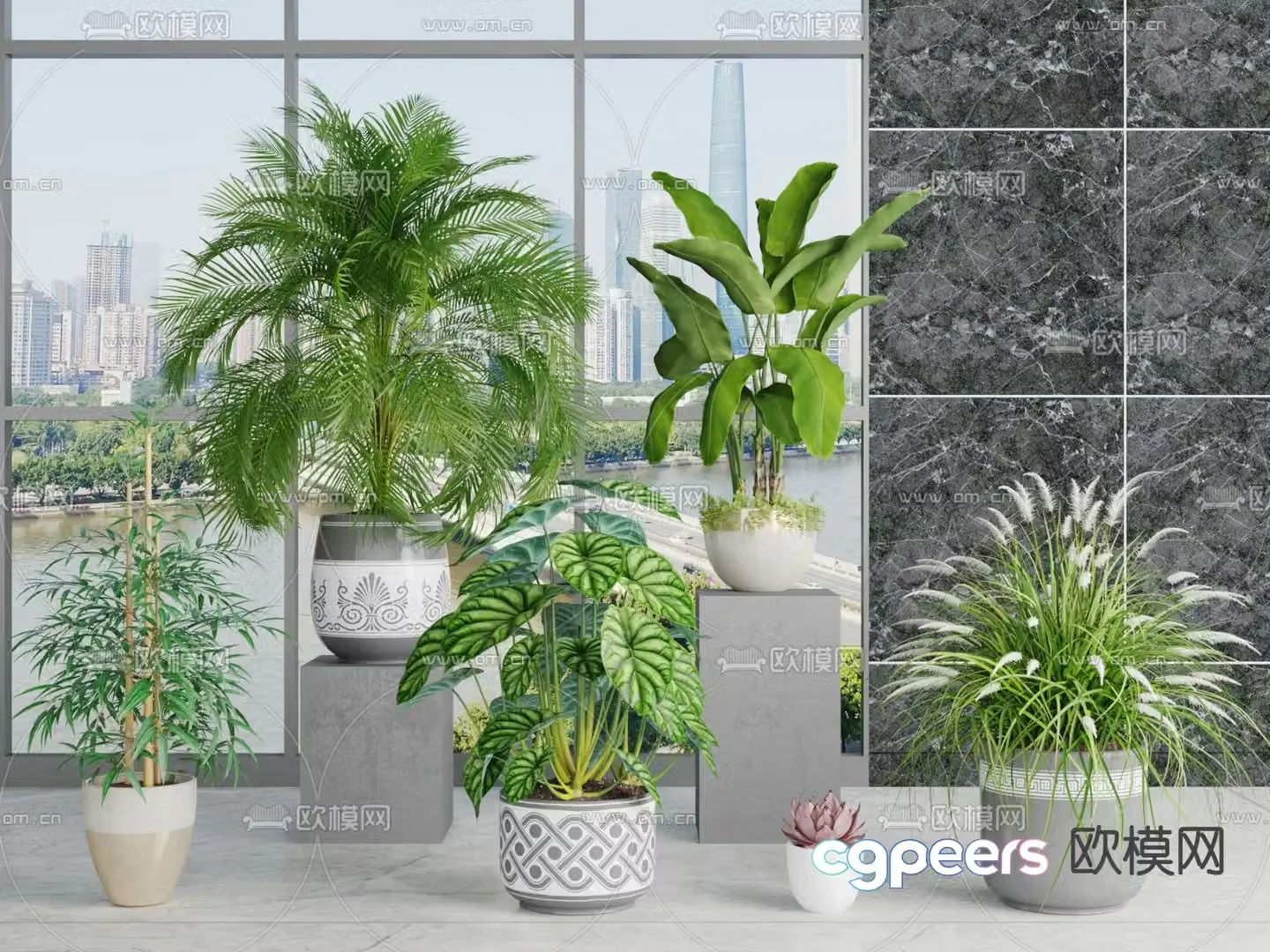 Potted plants bonsai banana scattered 3D model