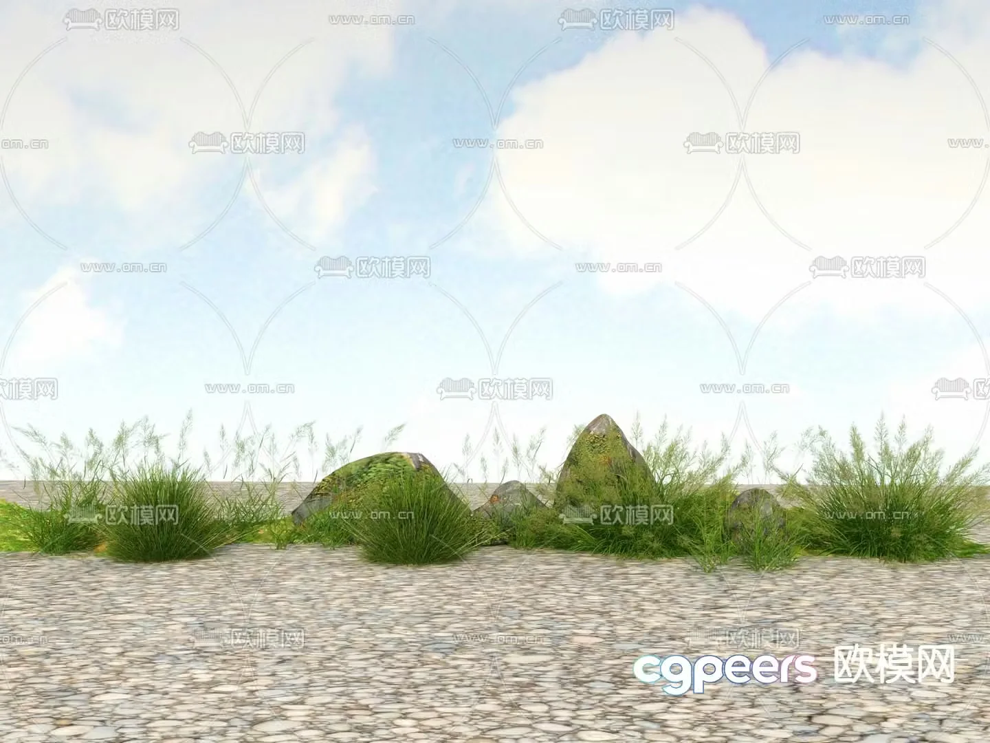 Flowers and plants Wild grass Reeds 3D model
