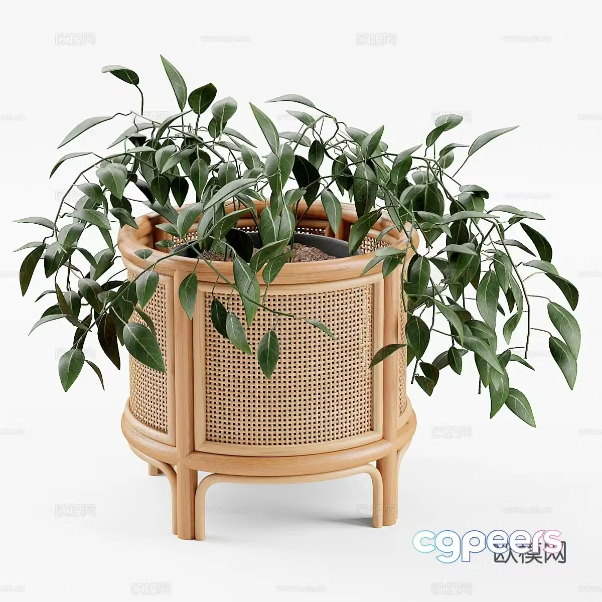 Green plant potted ornaments 3D model