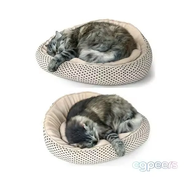 3ds Max Free – A fluffy cat is lying on a pouf bed