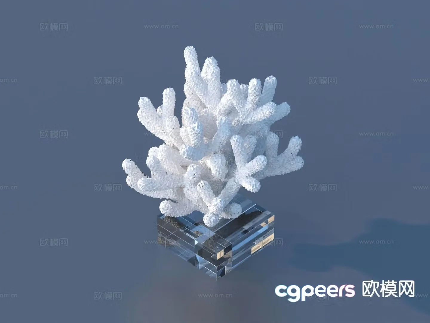 Coral sculpture crafts ornaments 3d model