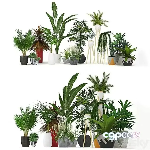 3ds Max Free – Plants Collection