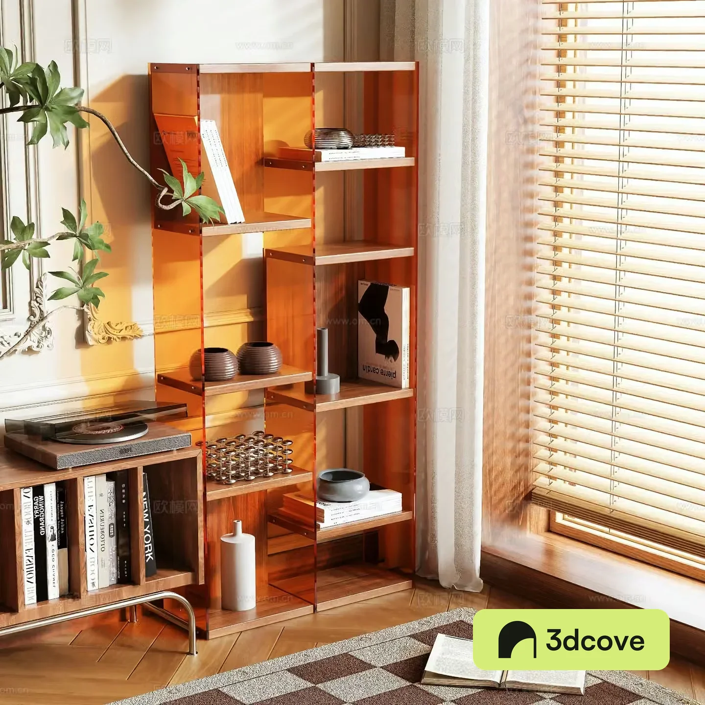 Acrylic bookcase