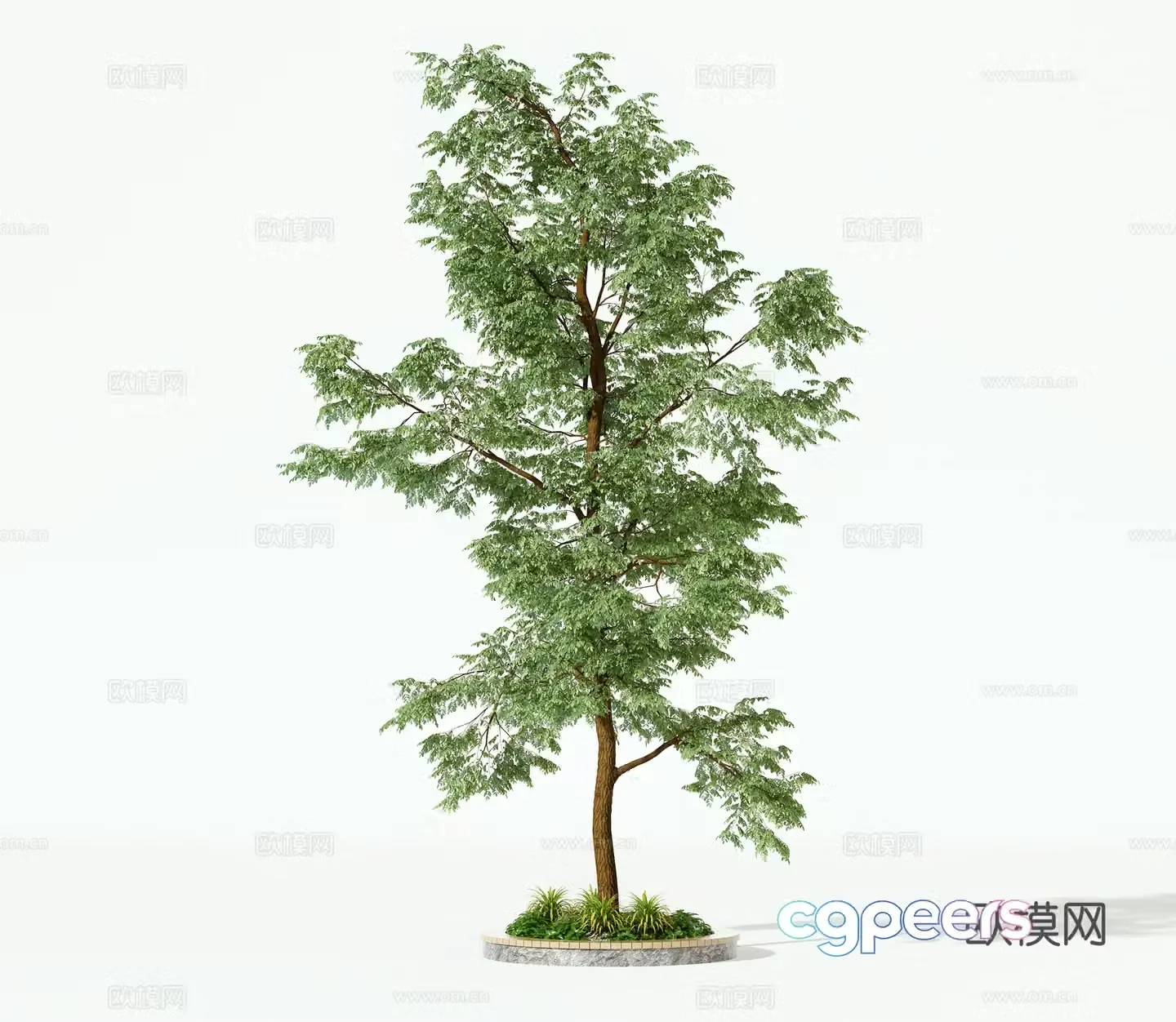 Modern trees landscape tree 3d model