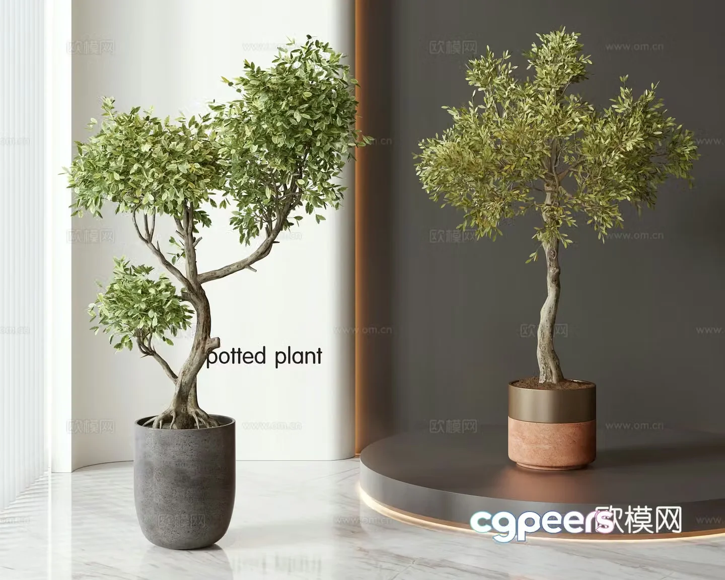 Modern potted bonsai green plant combination 3D model