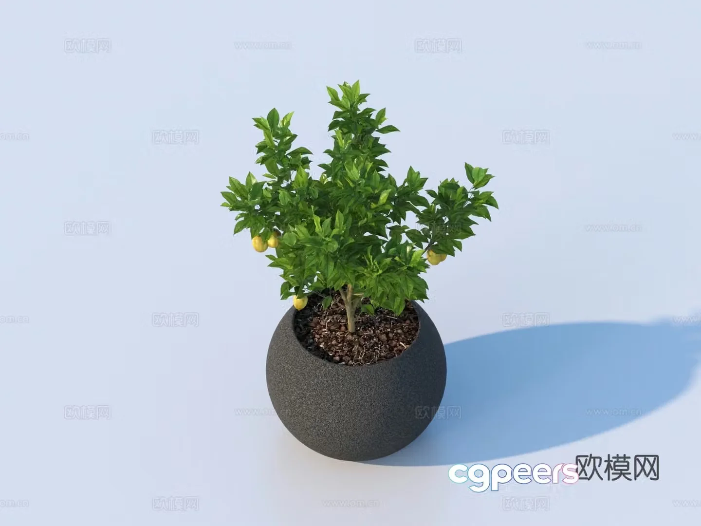 flowerpot potted plant green plant plant 3d model