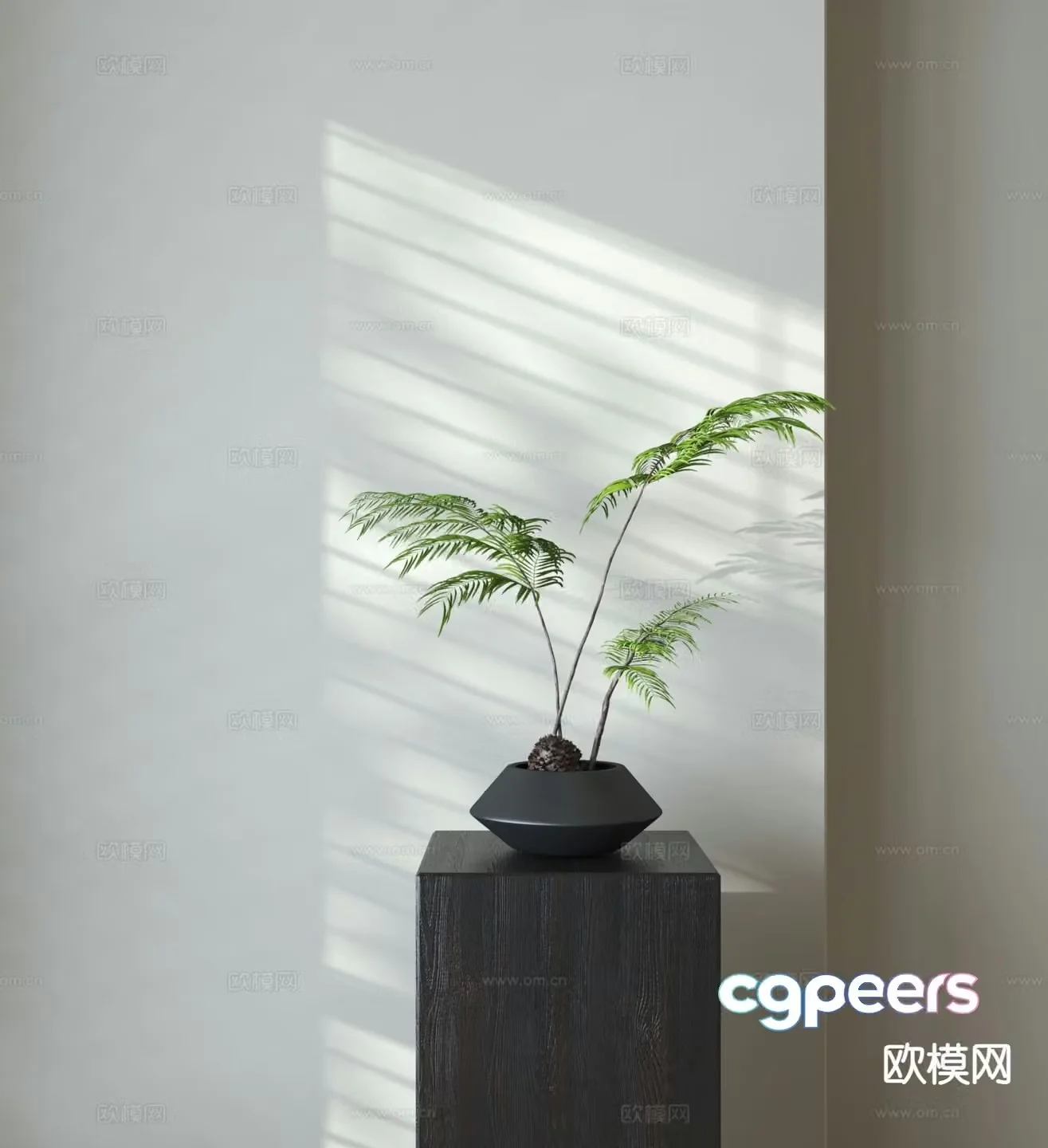 3D model of fern potted plants