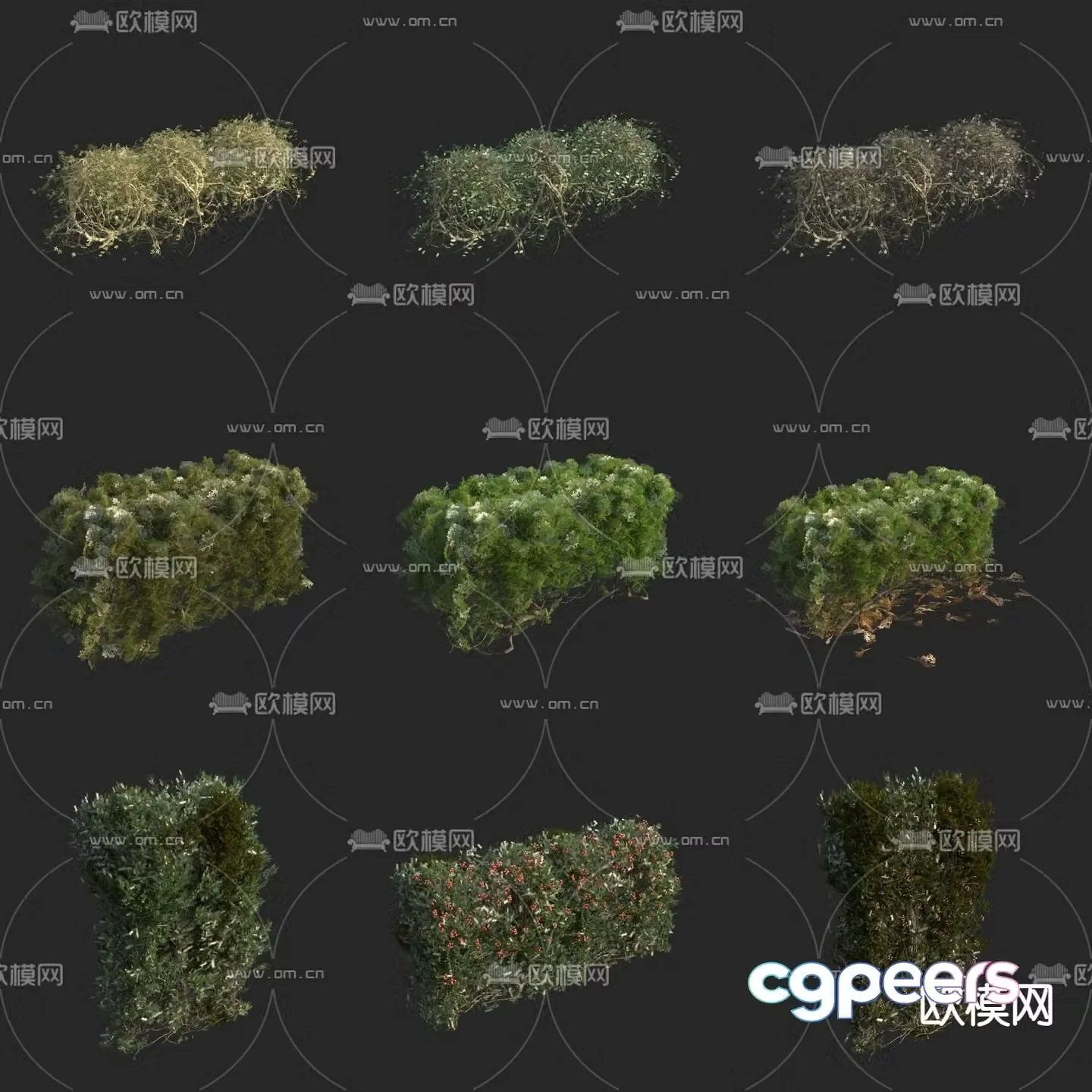 Hedge Shrub Ball Hedge Wall Plant Wall 3D Model