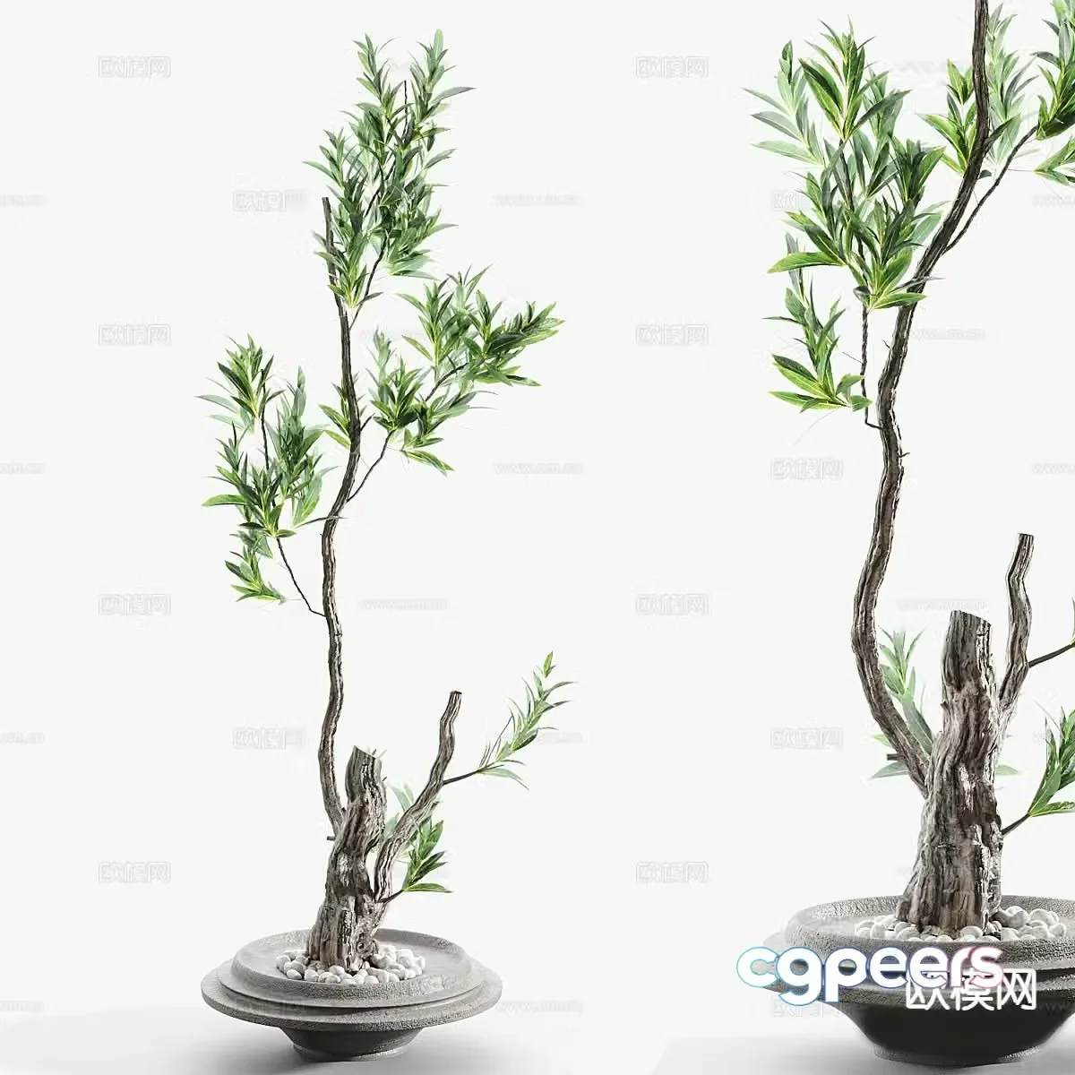 Potted plants Landscape green plants 3D model