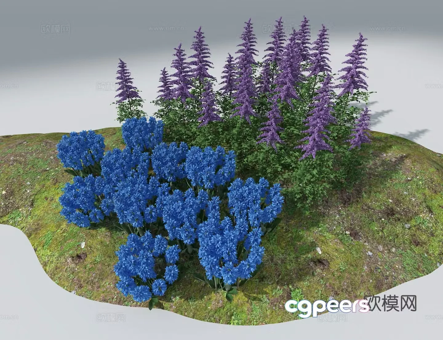 Landscape flowers and plants 3d model