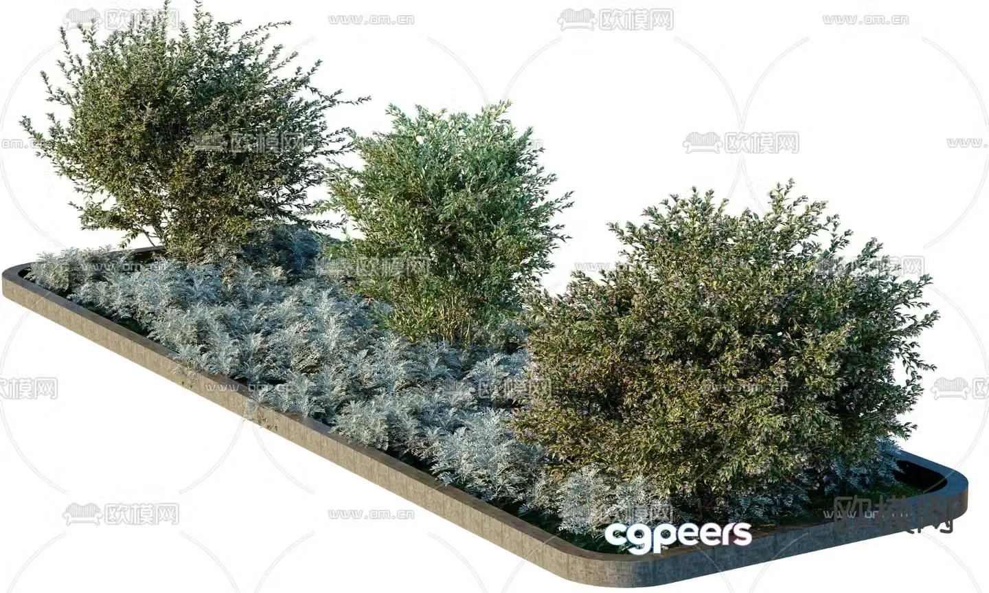 Plant heap tree pool green belt 3d model