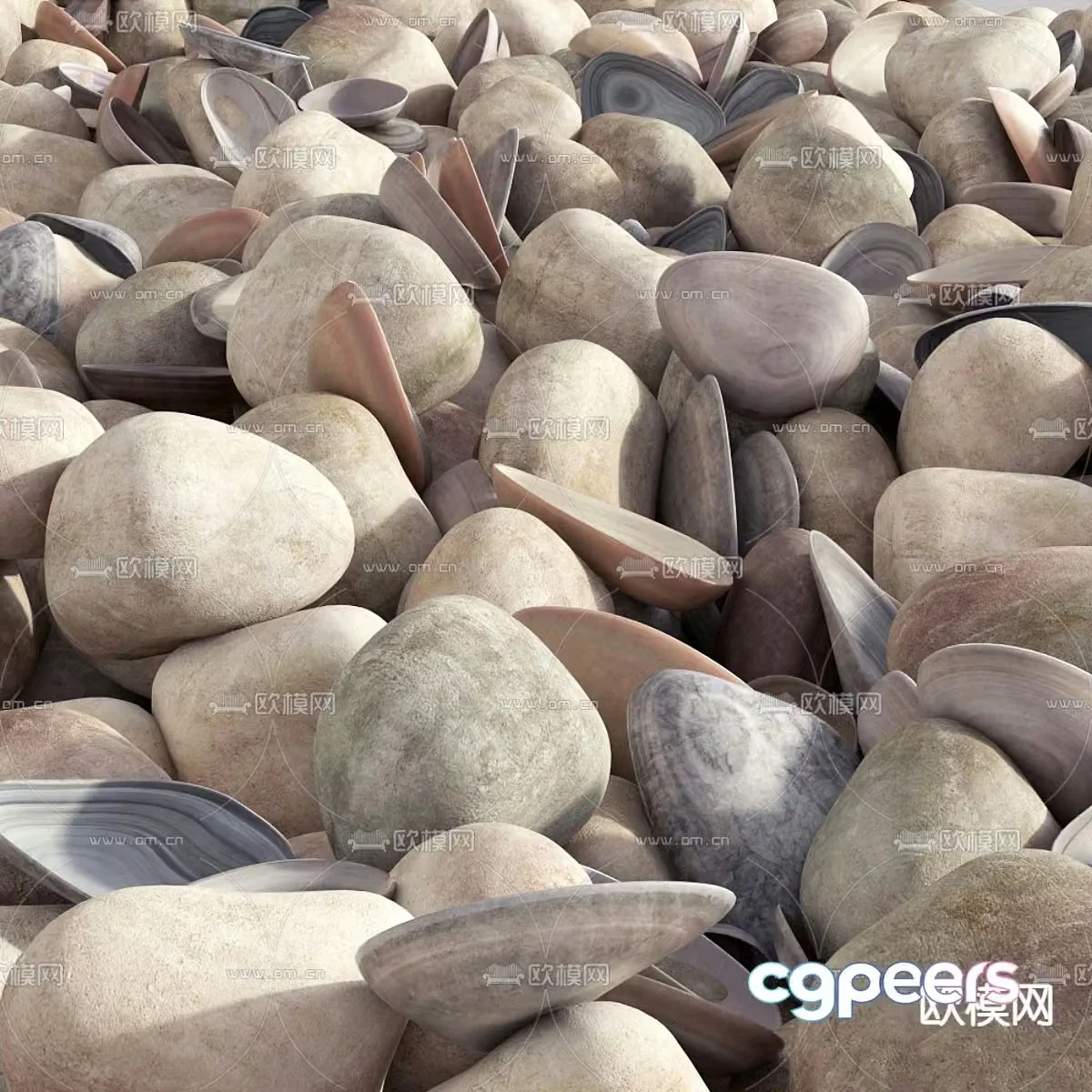 Shells Fritillaria Pebbles Gravel Beach Stones 3d model